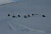 Jeppaferð á Breiðardalsheiði 18.02. 2006