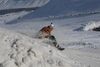 Páskar á Flateyri og Ísafirði 2008
