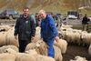 Réttir á Ísafirði 19.09. 2009